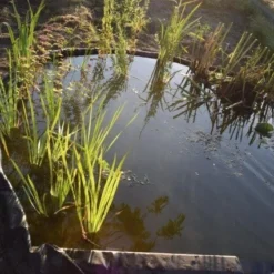 Ubbink Borderrand H 19 Cm X 15 M 9 Ubbink Borderrand H 19 Cm X 15 M -Exporteren Rust Tuin Winkel 8711465301015 5