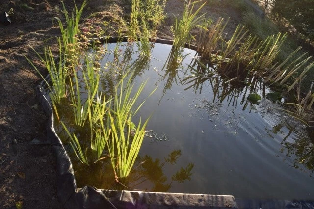 Ubbink Borderrand H 19 Cm X 15 M 5 Ubbink Borderrand H 19 Cm X 15 M - Afbeelding 5