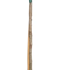 Glansmispel (Photinia X Fraseri 'Red Robin') D 36 H 120 Cm