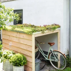 Sempergreen Sedummat 200 X 60 X 2 Cm