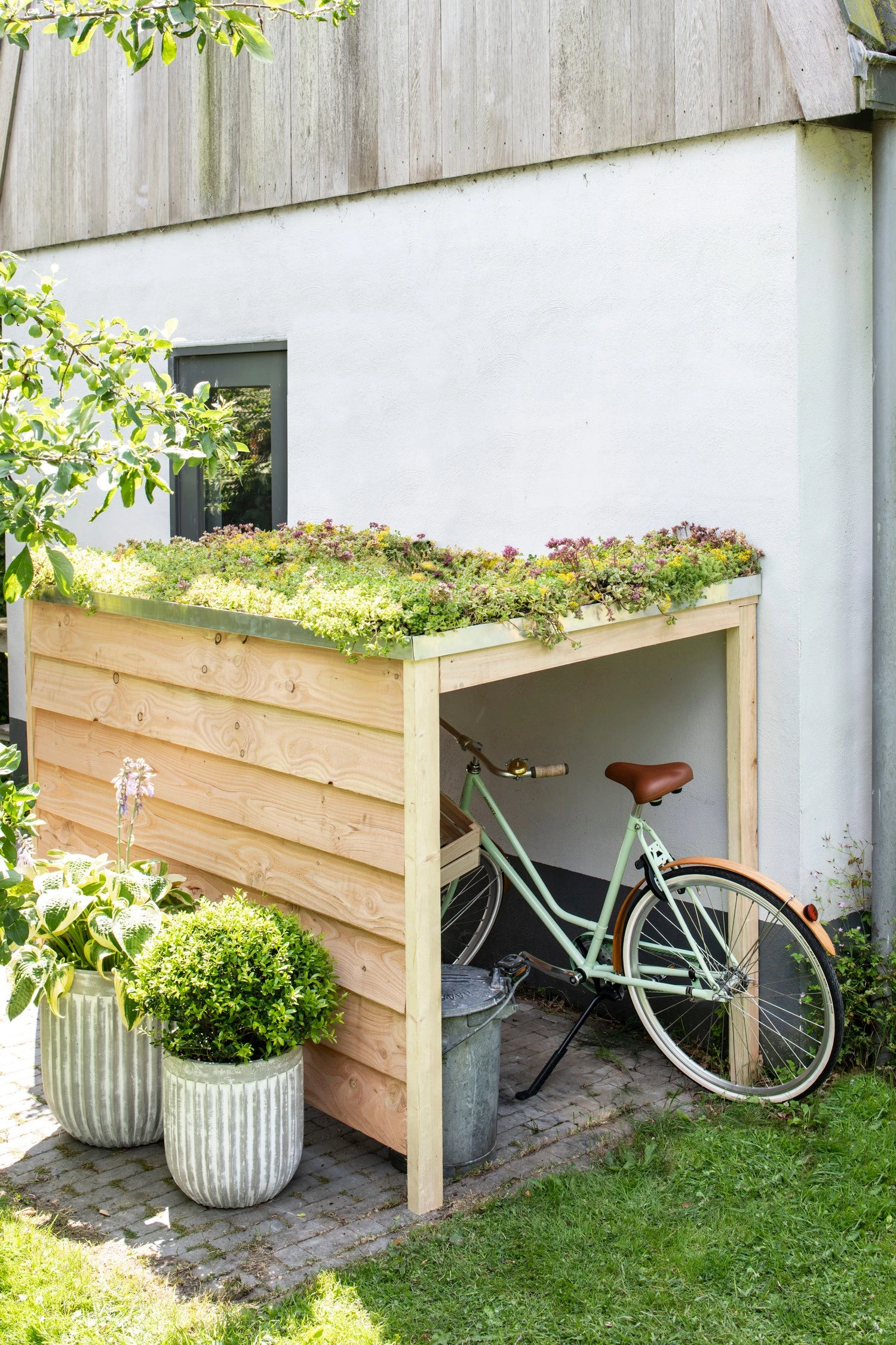 Sempergreen Sedummat 200 X 60 X 2 Cm 1 Sempergreen Sedummat 200 X 60 X 2 Cm