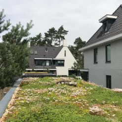 Sempergreen Sedummat 200 X 60 X 2 Cm 3 Sempergreen Sedummat 200 X 60 X 2 Cm -Exporteren Rust Tuin Winkel 8717263749370 2