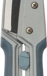 Intratuin Premium Traditionele Buxusschaar Blauw/zilver