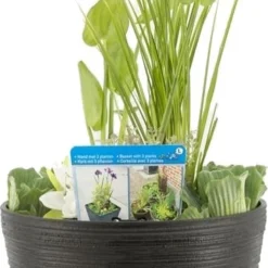 Terrasvijver Met Waterplanten Antraciet D 40 H 35 Cm